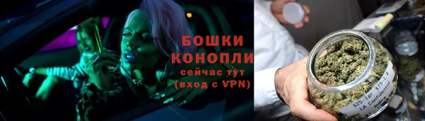 винт Аркадак