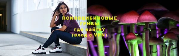 винт Аркадак