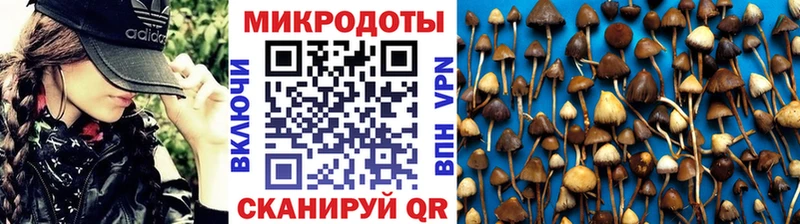 MEGA зеркало  Ельня  Галлюциногенные грибы мицелий 